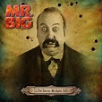 Mr. Big: '…The Stories We Could Tell' Album Details Revealed ...