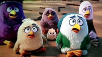 Angry Birds and Angry Birds Rio Music Video Fly like an eagle - YouTube