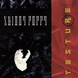 Skinny Puppy - Testure - Amazon.com Music