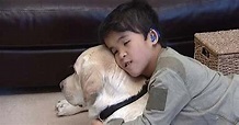G1 - Crianças surdas recebem ajuda de cães guia na Grã-Bretanha ...