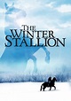 The Winter Stallion (1992) – Christmas Movies on TV - 2022 Holiday ...