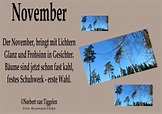 November - Ein Bildgedicht von Norbert Van Tiggelen