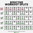 Effective Workout Splits | Weight training workouts, Workout splits ...