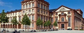 Erfahrungsbericht Medizinstudium, Uni Heidelberg-Mannheim – private ...