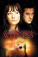 The Accidental Witness (2006) - Posters — The Movie Database (TMDB)