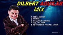 Dilbert Aguilar Mix - Lo mejor de Dilbert Aguilar y la tribu - YouTube