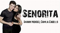 Shawn Mendes X Camila Cabello ~ Señorita | Music Lyrics Video - YouTube