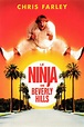 Le Ninja de Beverly Hills HD FR - Regarder Films