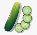 How To Draw Cucumber For Kids Opposite and adjectives chant for kids ...