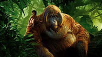 Download Orangutan King Louie Jungle Book Wallpaper | Wallpapers.com