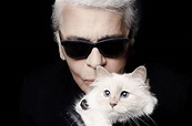 Karl Lagerfeld’s pet cat Choupette lends her feline charm to a capsule ...