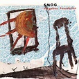 Smog - Forgotten Foundation - Reviews - Album of The Year