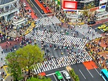 Shibuya Crossing, Tokyo - Culture Review - Condé Nast Traveler