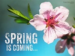 Welcome Spring - Online Cards, Animated Pics & Quotes.