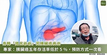 南韓「國民爺爺」邊希峰胰臟癌病逝！了解癌王的危險因子、診斷方式、治療及預防 | 醫藥健康 | 生活 | NOWnews今日新聞