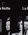 La notte (1961) | The Criterion Collection