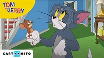 Tom i Jerry Show | Zimowe przygody | Cartoonito - YouTube