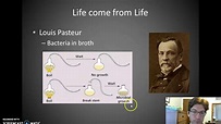Redi and Pasteur - YouTube