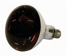 Ritchey Standard E27 Infrared Heat Bulb 150w from £5.05