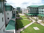 Florida Gulf Coast University | Florida gulf coast university, Gulf ...