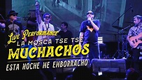 LA MOSCA TSE TSE - Muchachos, Esta Noche Me Emborracho (Bucaramanga ...
