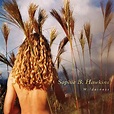 Play Walking On This Ice by Sophie B. Hawkins on Amazon Music