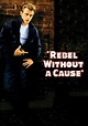 Rebel Without a Cause Movie Poster - ID: 118259 - Image Abyss
