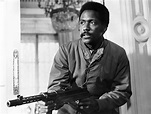 Picture of Richard Roundtree