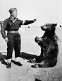 Wojtek - The Bear That Went To War - Image gallery | Gallery | Culture.pl