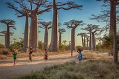 16 amazing things you probably didn't know about Madagascar