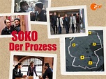 Amazon.de: SOKO - Der Prozess ansehen | Prime Video