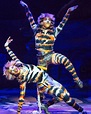 Mungojerrie & Rumpleteazer - Cats Revival 2016 | Cats the musical ...