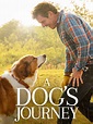 What is your best dog movie of all time? Mine should be "A Dog's ...