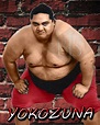 WrestleMania Record: Yokozuna