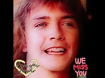 DAVID CASSIDY TRIBUTE-SONGS FROM DIDN’T YOU USED TO BE... - YouTube