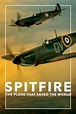 Spitfire (2018) - FilmAffinity