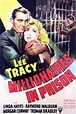 Millionaires in Prison (film, 1940) | Kritikák, videók, szereplők ...