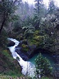 Travel Grants Pass: Best of Grants Pass, Visit Oregon | Expedia Tourism