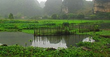 Vietnam: visitare Delta del Fiume Rosso | Evaneos