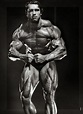 Arnold Schwarzenegger bodybuilding photo picture. The golden Era of ...