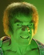 Lou Ferrigno in The Incredible Hulk (1978) | Incrível hulk, Hulk ...