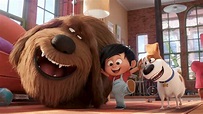 "Pets 2 - Vita da animali": trama, trailer e personaggi | TV Sorrisi e ...