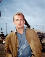 Poze Roy Thinnes - Actor - Poza 9 din 10 - CineMagia.ro