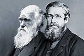 Wallace y Darwin, un camino compartido hacia la evolución: Dos hombres ...