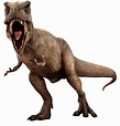 Dinosaur PNG Transparent Dinosaur.PNG Images. | PlusPNG