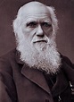 Charles Darwin's Birthday - Anniversary - GeneaBloggers