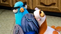 25+ Cartoon Pigeon Movie - Kemprot Blog