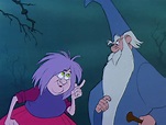 *MADAME MIM & MERLIN ~ The Sword in the Stone, 1963 | Sword in the ...