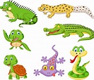 Conjunto de dibujos animados de reptiles y anfibios. | Vector Premium
