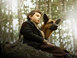 Zack, cane eroe: trama, cast e finale del film su Rai 1 | iO Donna